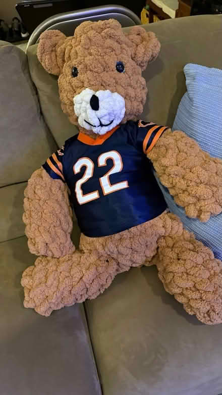 Photo of free Hand made Chicago Bears Bear (NE Glenview (Lake & Harms)) #1