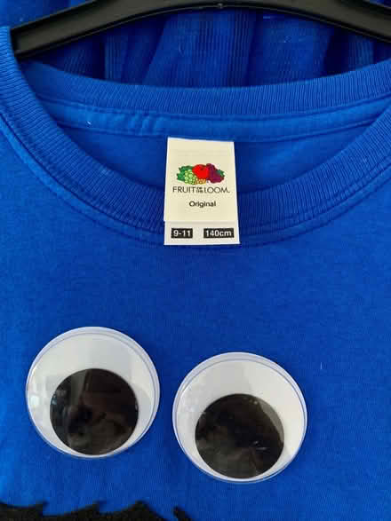 Photo of free Cookie Monster costume 9-11 years (BS11) #4