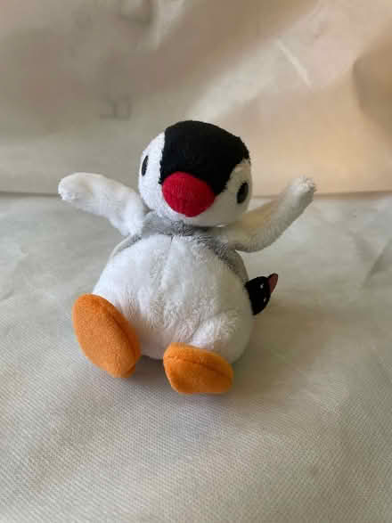 Photo of free Pingu (Dean EH4) #1
