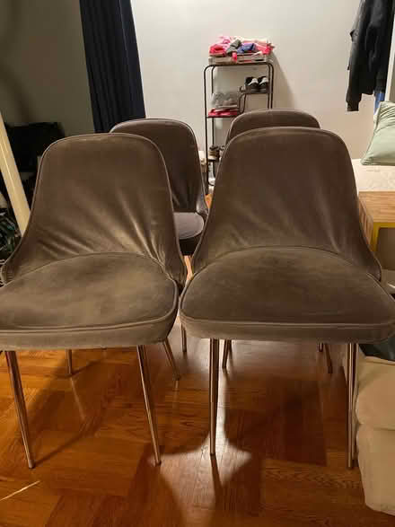 Photo of free 4 Cushioned dining room chairs (Morris Park) #1