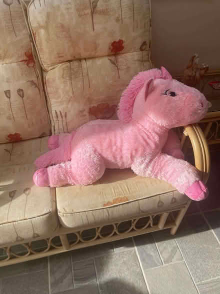 Photo of free Large pink Unicorn (Humphrey's End GL5) #3