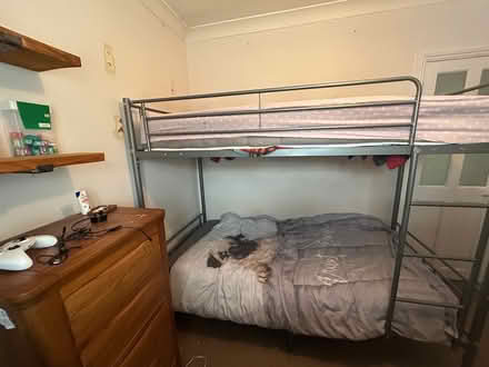 Photo of free adult size bunk beds (Bexley DA5) #1