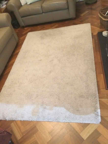Photo of free Light beige rug (Cheam) #1