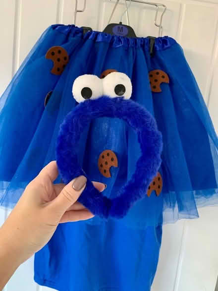 Photo of free Cookie Monster costume 9-11 years (BS11) #1