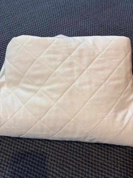 Photo of free Old mattress protector for pets (Lower Weston) #1