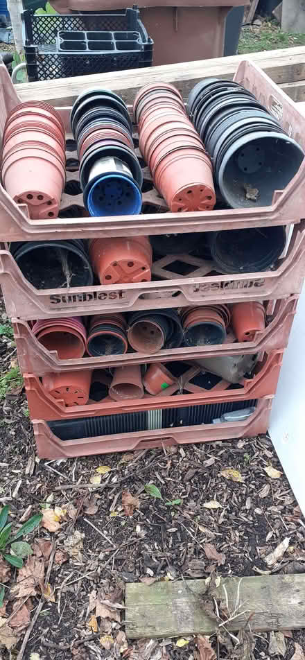 Photo of free Pots (Beulah Hill CR7) #1
