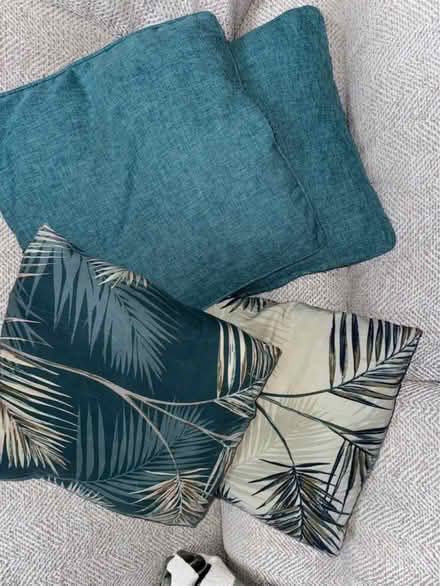 Photo of free 4 cushions (Warners End HP1) #1