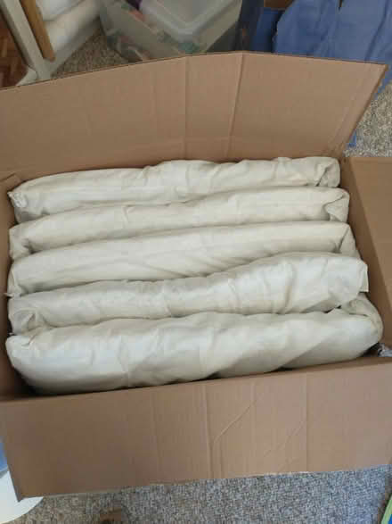 Photo of free 5 Used standard pillows (Meriden off Curtis st) #1