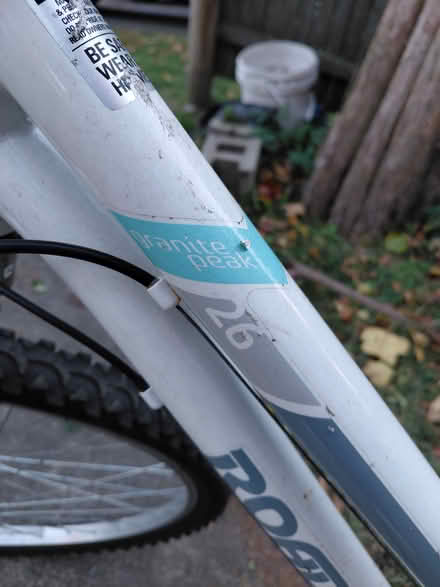 Photo of free Ladies bike (Roslindale) #2