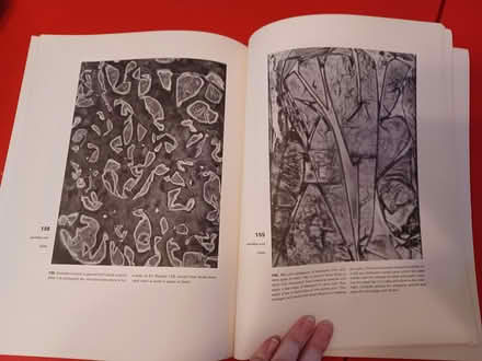 Photo of free How to Design by Accident book (Corinth) #3