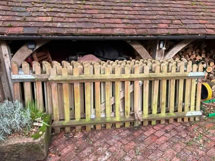 Photo of free Picket fence and gate (Shipley RH13) #2