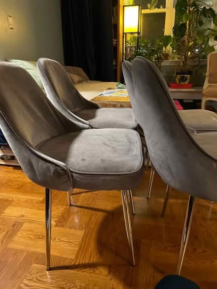 Photo of free 4 Cushioned dining room chairs (Morris Park) #2