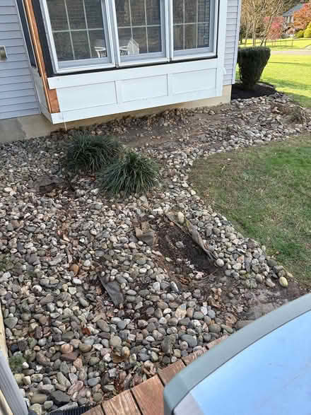 Photo of free river stones (Holmdel near the Lincroft area) #2