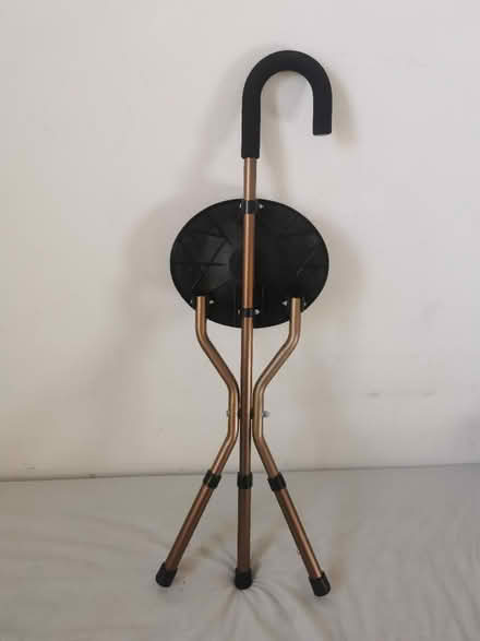 Photo of free Walking stick with seat (Plymouth PL4) #2