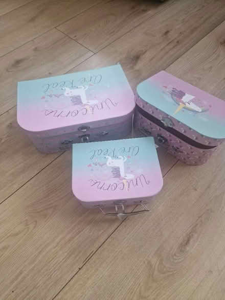 Photo of free Trio of girls storage boxes (Isleworth TW7) #1