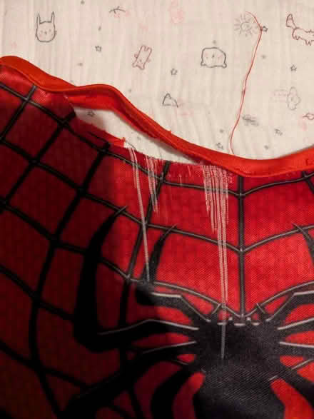 Photo of free Spiderman costume for 3-5 year old (South Croydon) #2