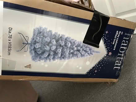Photo of free Grey Christmas tree (ware SG12) #1