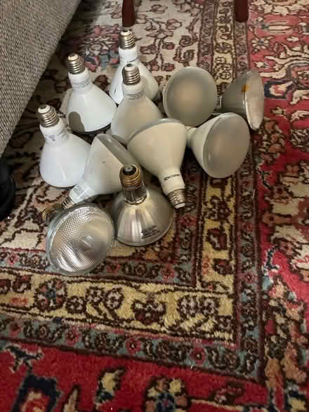 Photo of free Light bulbs (Carson 90745) #1