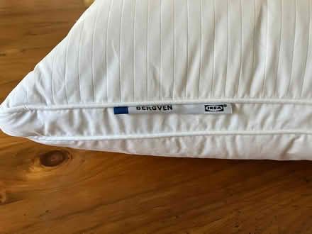 Photo of free Ikea Bergven pillow (Dulwich Hill) #2