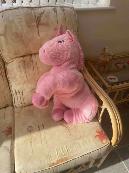 Photo of free Large pink Unicorn (Humphrey's End GL5) #1