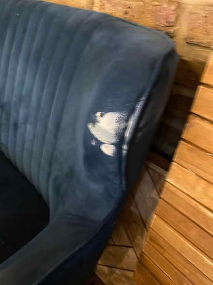 Photo of free Blue velvet sofa (221 Holloway Road N7) #2
