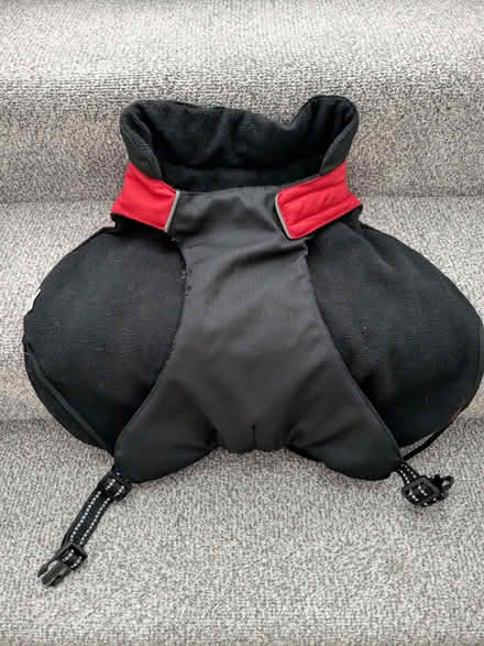Photo of free Medium Sized Dog Coat (Beulah Hill SE19) #2