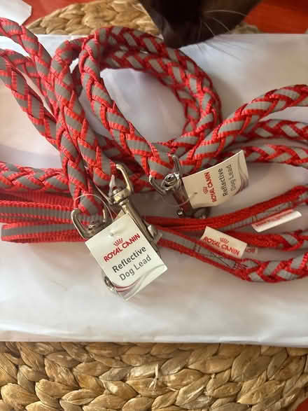 Photo of free Reflective dog leads (Boxmoor, Hemel Hempstead) #1