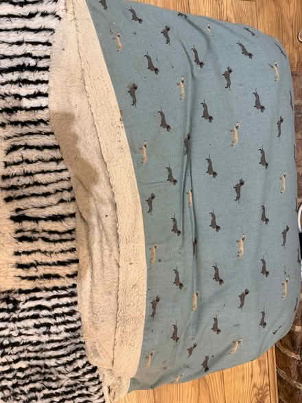 Photo of free Dog crate, dog beds, dog food container (Molesey KT8) #3