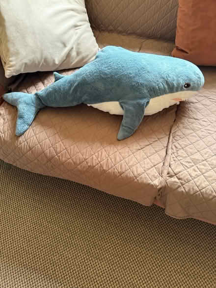Photo of free Shark toys (Saint John’s wood NW8) #1