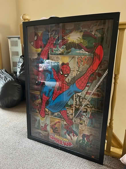 Photo of free Spider-Man picture (Moggerhanger, MK44) #1