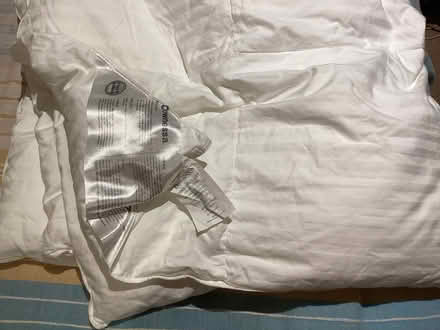 Photo of free Single poly duvet (Steventon SY8) #1