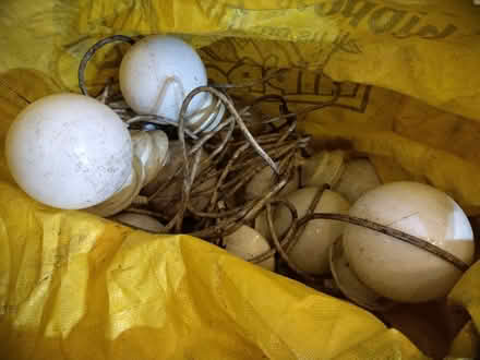 Photo of free outdoor lights. (Putney SW15) #1