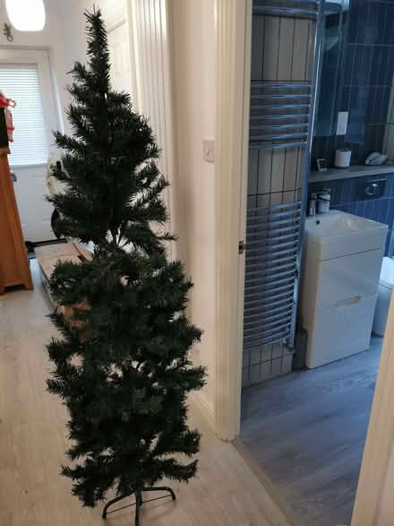 Photo of free Christmas tree. (Trennick TR1) #1