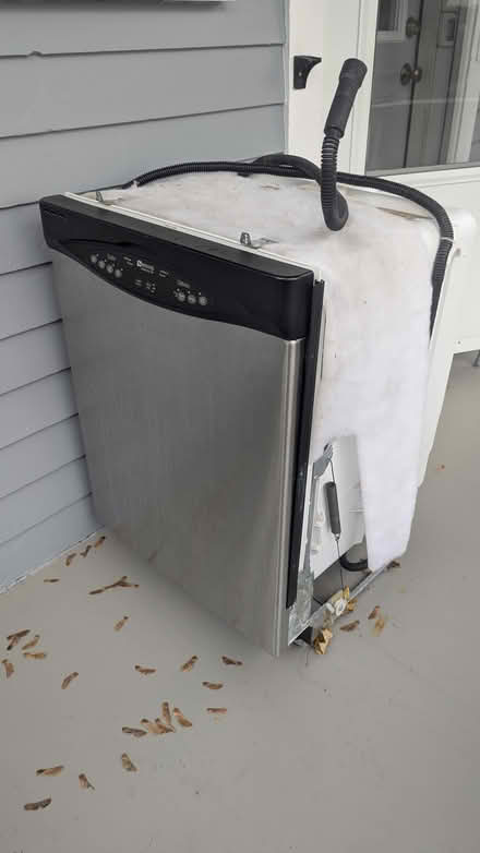 Photo of free Maytag Dishwasher (Kingston, NY) #1