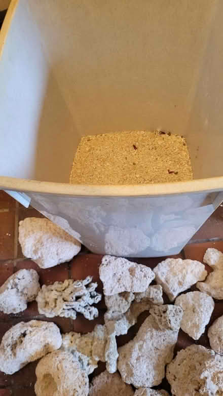 Photo of free Marine tank rocks and sand (Adlington PR7) #2