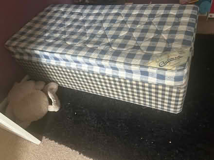 Photo of free Single bed and mattress (Ludlow SY8) #1