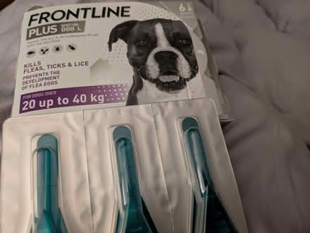 Photo of free Dog Flea Tick Lice treatment 20-40kg (Holmesfield S18) #1