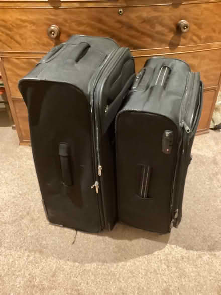 Photo of free Pair of Antlers suitcases (Steventon SY8) #1