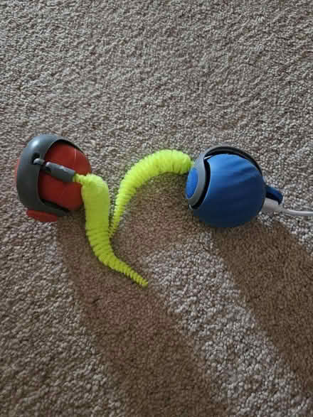 Photo of free Rechargeable cat toys (Redditch B97) #1