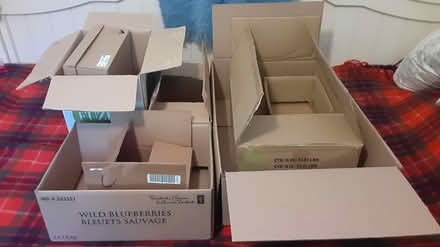 Photo of free Cardboard boxes (Southdown and Truscott) #1