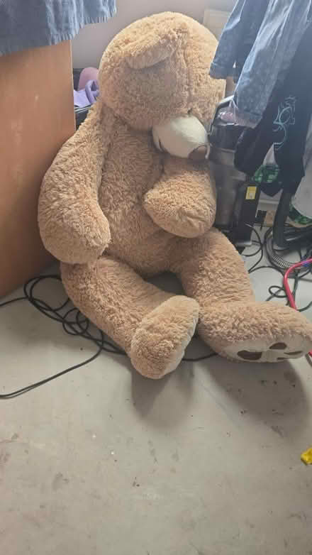 Photo of free Giant teddy bear (Aldershot) #1