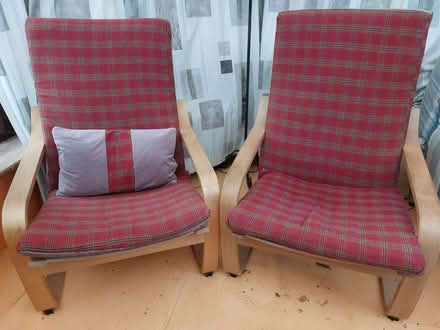 Photo of free 2 IKEA poeng chairs (Bisley Road GL5) #1