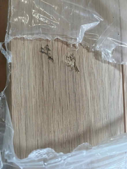 Photo of free Oak veneer door , slight damage (Queen Edith's Ward CB1) #2