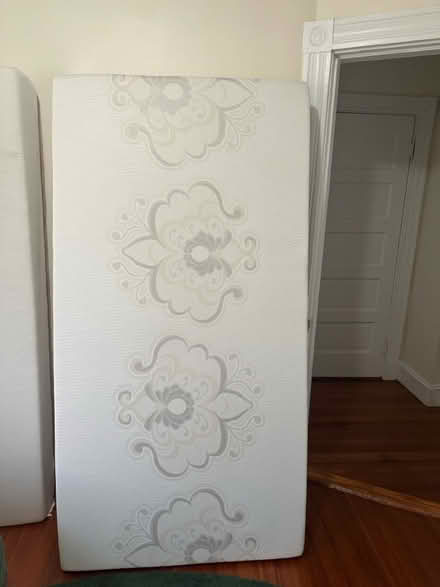 Photo of free Twin Mattress (Brighton Ma) #1