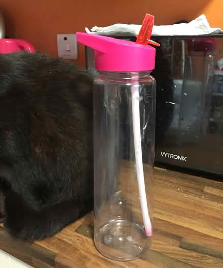 Photo of free Plastic Drinks Container, Screw Top (Liverpool L6) #2