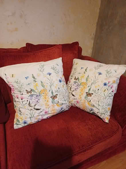 Photo of free Cushions (Chatham ME5) #1