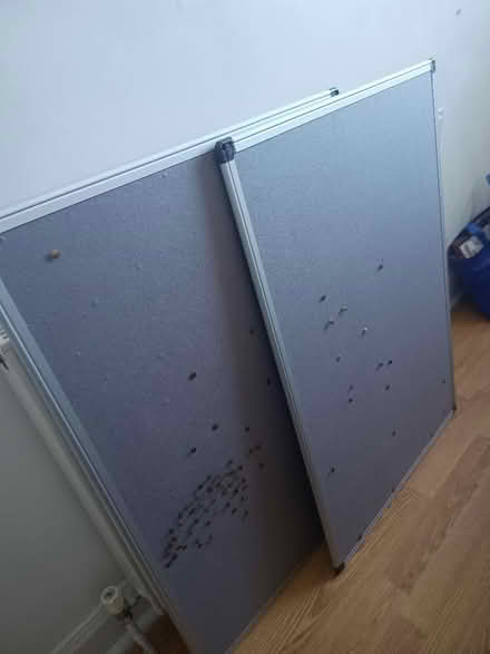 Photo of free Two 90x60cm pin boards (Shandon EH11) #1
