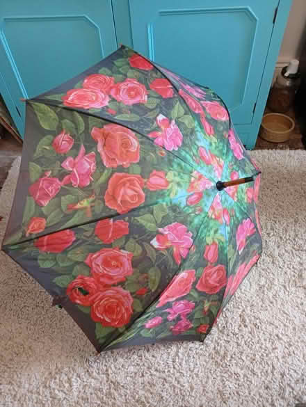 Photo of free Floral umbrella (Buxworth SK23) #1
