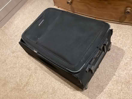 Photo of free Pair of Antlers suitcases (Steventon SY8) #3