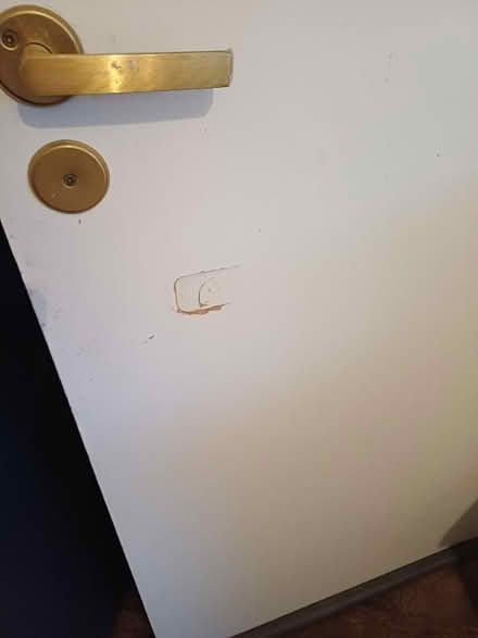 Photo of free Doors (Brookside TF3) #2